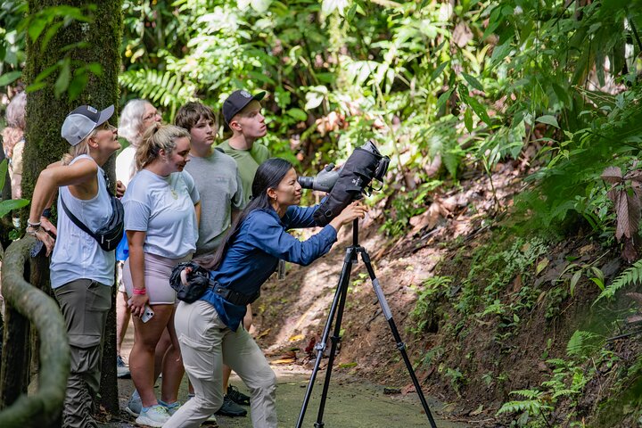3 in 1 Combo: La Fortuna Waterfall, Hanging Bridges, Thermal Spa from San José