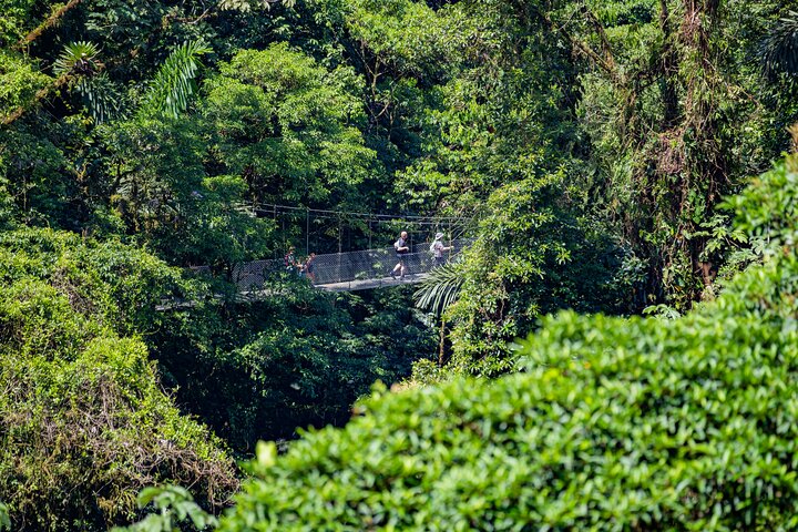 3 in 1 Combo: La Fortuna Waterfall, Hanging Bridges, Thermal Spa from San José