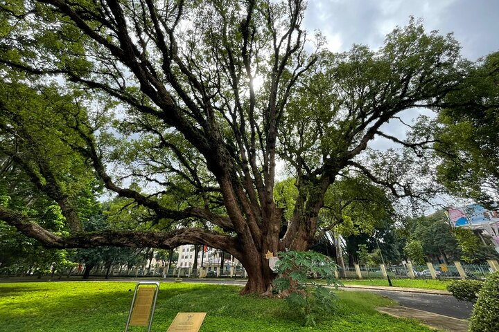 Buon Ma Thuot Heritage & Coffee Journey