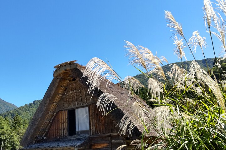 [One-day bus tour departing from Kanazawa Station] Shirakawa-go/Takayama tour platinum route bus tour