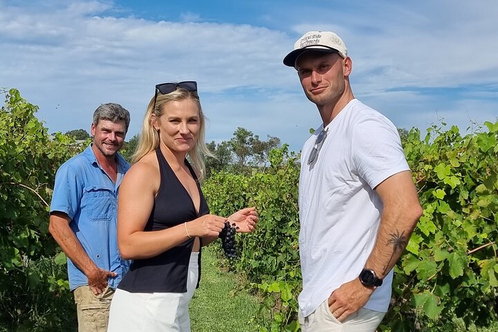 Award Winning Full Day Wine and Food Experience