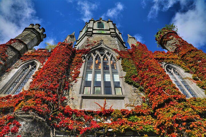Galway Celtic Mythology Tour