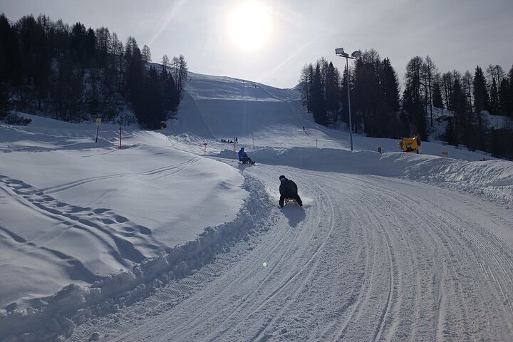 Davos Private Sledging Tour