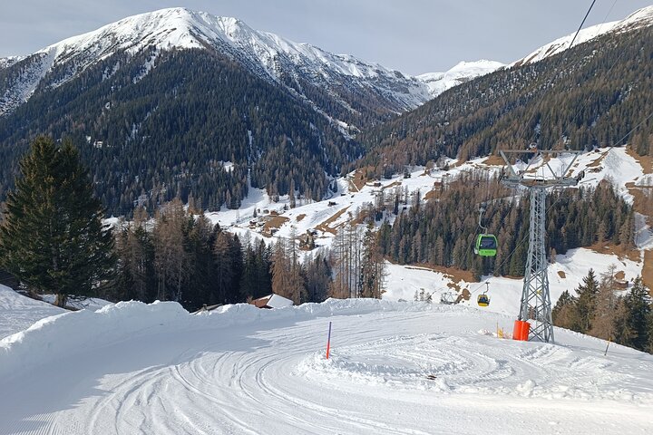 Davos Private Sledging Tour