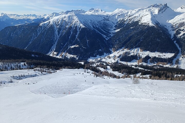 Davos Private Sledging Tour