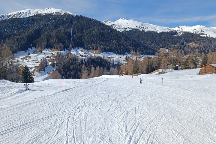 Davos Private Sledging Tour