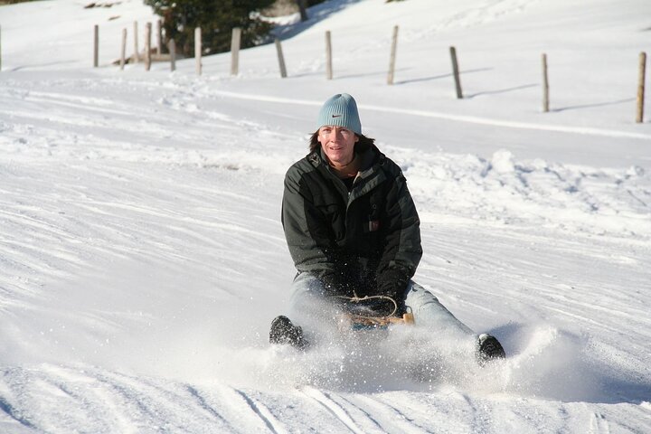 Davos Private Sledging Tour