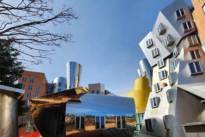 Illustrious Schools: Group Tour of MIT And Harvard