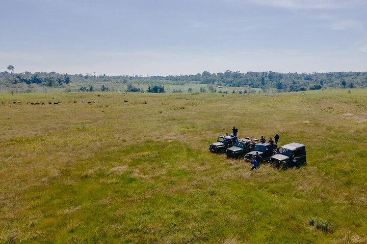 Full Day Jeep Tour and Mystic Mountain Coffee Farm