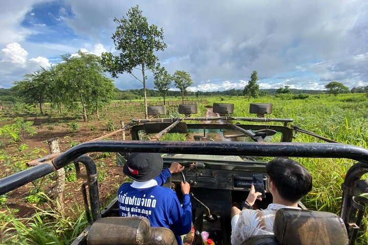 Full Day Jeep Tour and Mystic Mountain Coffee Farm