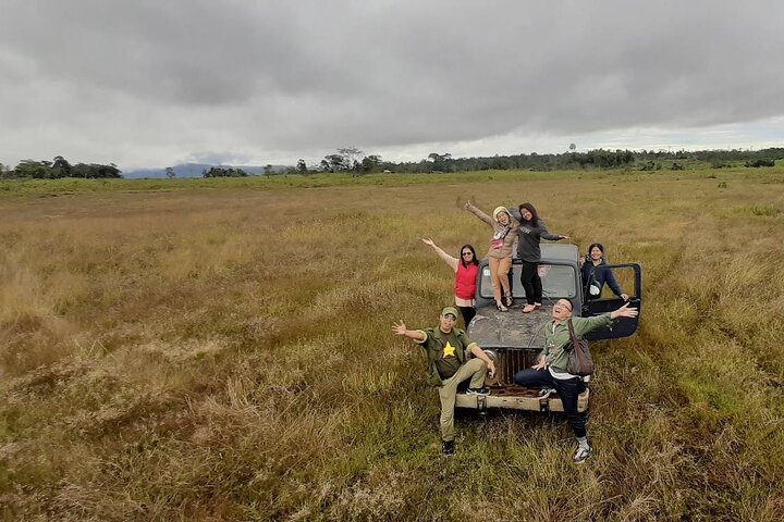 Full Day Jeep Tour and Mystic Mountain Coffee Farm