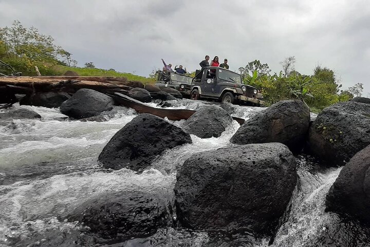 Full Day Jeep Tour and Mystic Mountain Coffee Farm