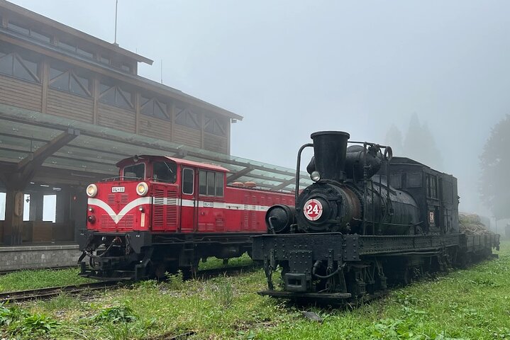 Alishan Join-in Day Tour from Chiayi (Incl. Park Entrance)