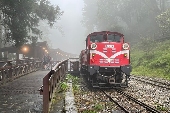 Alishan Join-in Day Tour from Chiayi (Incl. Park Entrance)