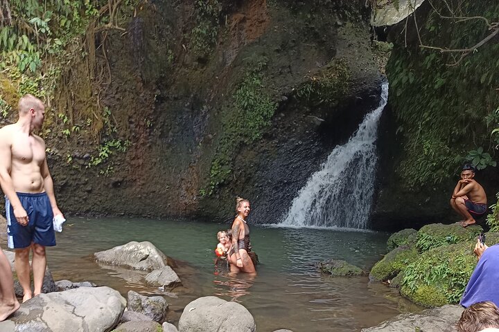 Shared Tour in the Rice Terraces, Waterfall and Monkey Forest