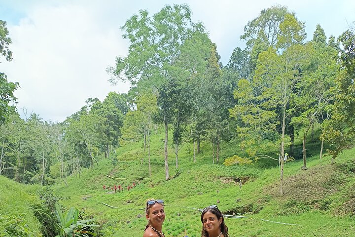 Shared Tour in the Rice Terraces, Waterfall and Monkey Forest