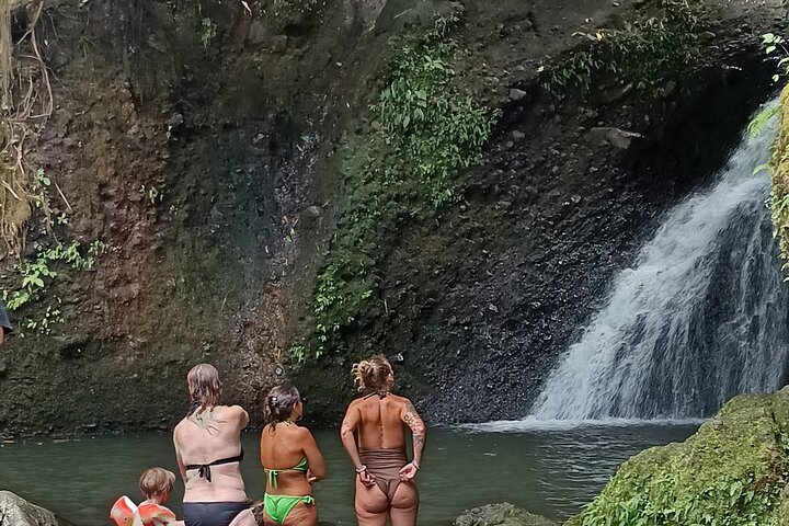 Shared Tour in the Rice Terraces, Waterfall and Monkey Forest