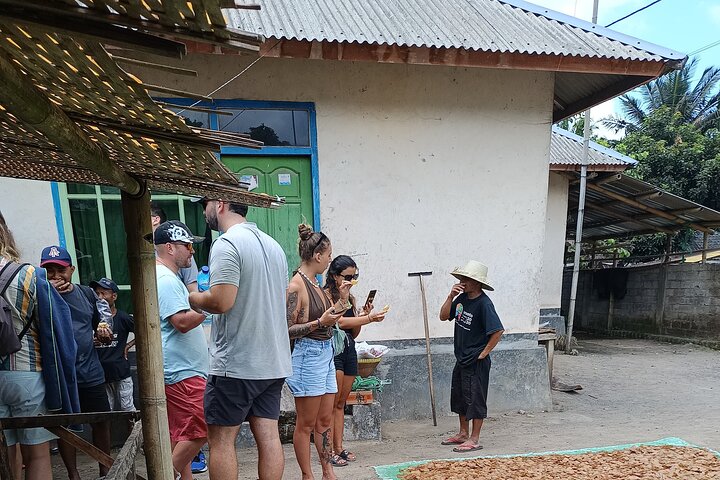 Shared Tour in the Rice Terraces, Waterfall and Monkey Forest