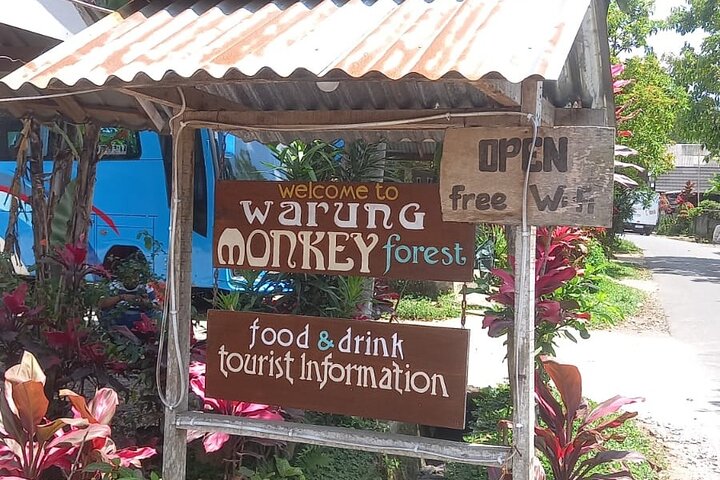 Shared Tour in the Rice Terraces, Waterfall and Monkey Forest