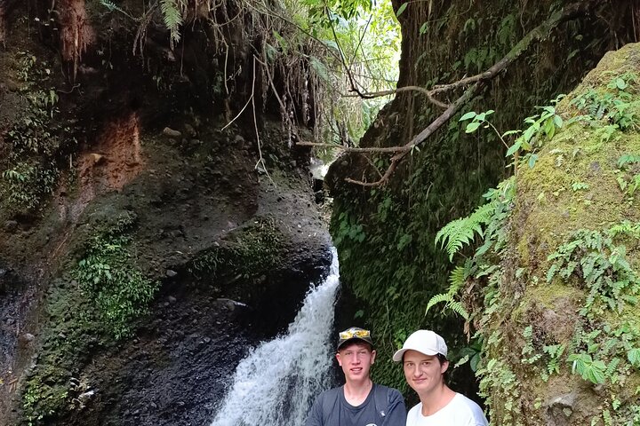 Shared Tour in the Rice Terraces, Waterfall and Monkey Forest