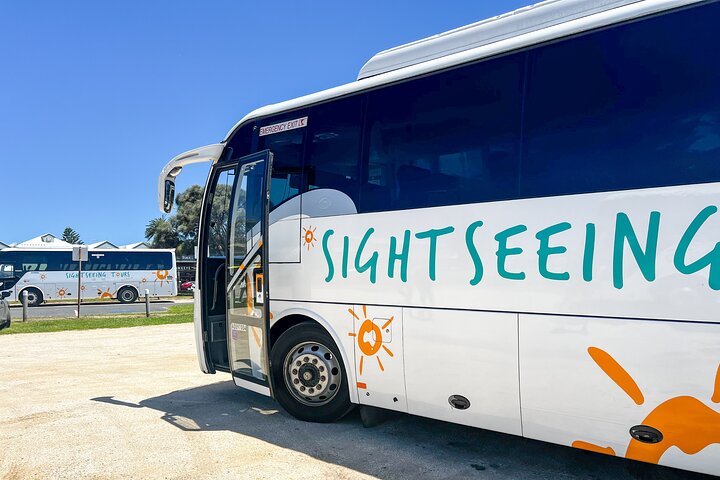 Full-Day Great Ocean Road and 12 Apostles Tour