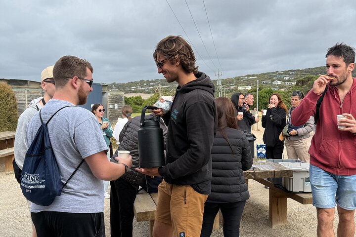 Full-Day Great Ocean Road and 12 Apostles Tour