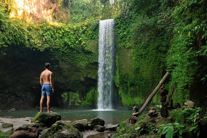 Ubud: Waterfall, Temple & Rice Terrace All-Inclusive Private Tour