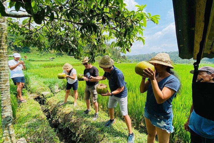Ubud: Waterfall, Temple & Rice Terrace All-Inclusive Private Tour