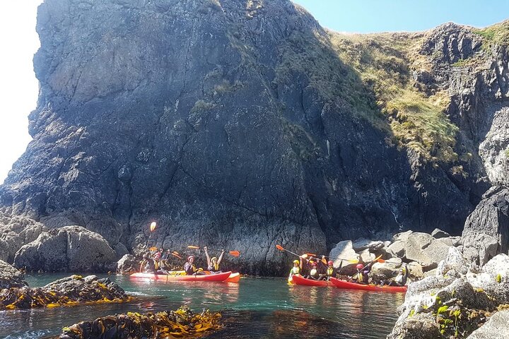 Sea Cave Kayaking Experience