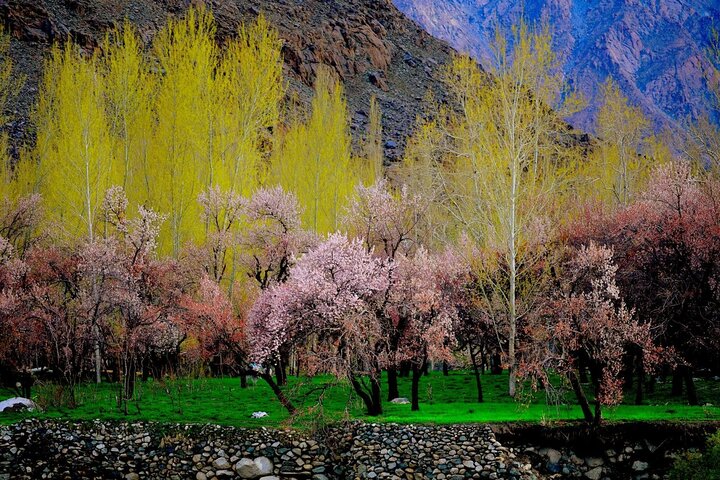 Ethnic Ladakh 4 Star Luxury Tour 9 Days