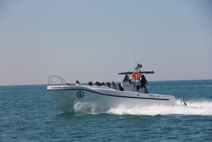 Benagil And Dolphins Tour