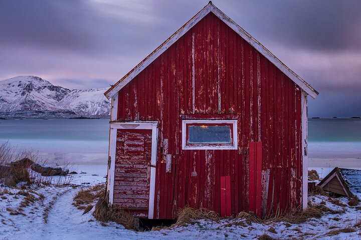 Reine, Hamnøy, Sakrisøy Photo Tour from Svolvær