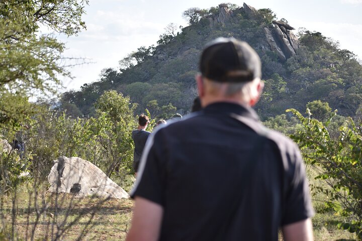 Half Day Rhino Tracking and White Rhino Cave Tour