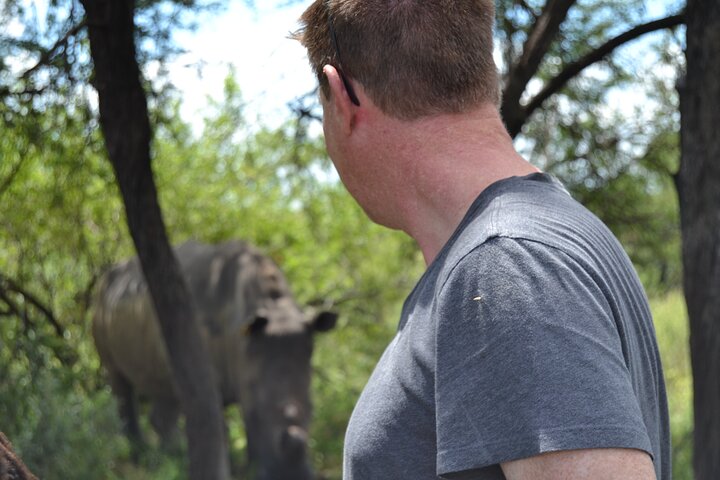 Half Day Rhino Tracking and White Rhino Cave Tour