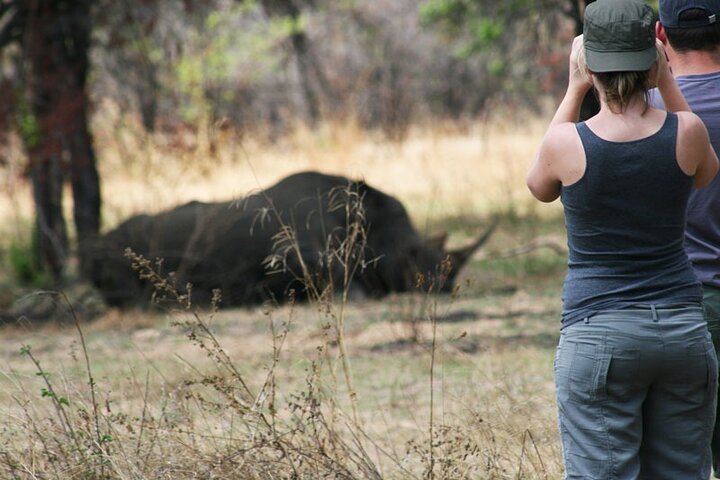 Half Day Rhino Tracking and White Rhino Cave Tour