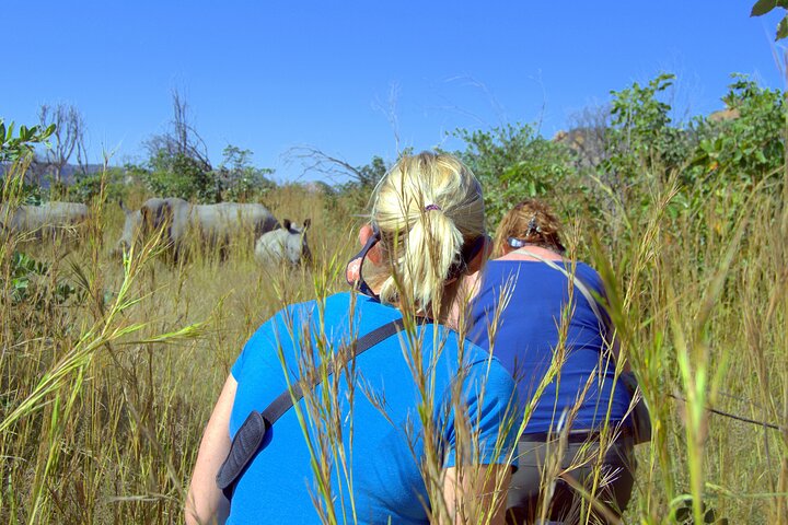 Half Day Rhino Tracking and White Rhino Cave Tour