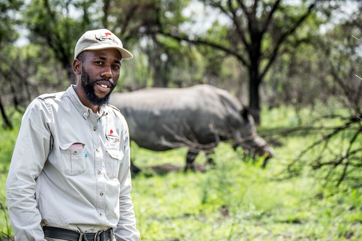 Half Day Rhino Tracking and White Rhino Cave Tour