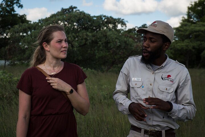 Half Day Rhino Tracking and White Rhino Cave Tour