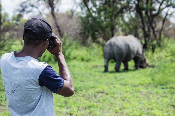 Half Day Rhino Tracking and White Rhino Cave Tour