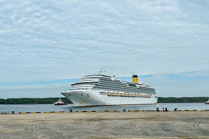 Ho Chi Minh City Shore Excursion Private Tour From Phu My Port