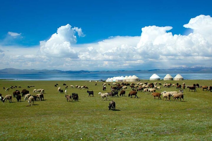 2-Day Small-Group Nomadic Adventure to Song Kul Lake