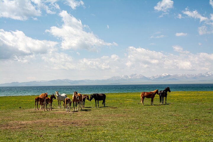 2-Day Small-Group Nomadic Adventure to Song Kul Lake