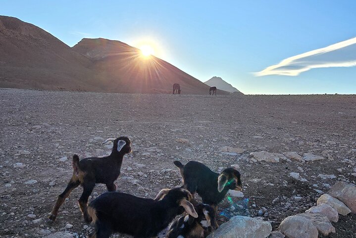 Hike & Overnight With Nomads Families