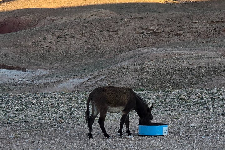 Hike & Overnight With Nomads Families