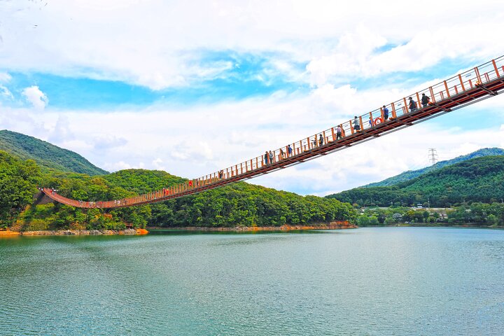 Best DMZ Tour Korea from Seoul (Suspension Bridge & JSA Museum)