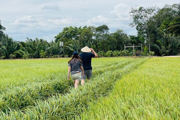 Nature Reserve and Largest, Authentic Floating Market Experiences