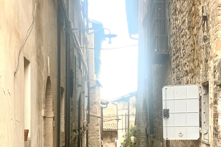 Wine and olive oil tastings with the locals