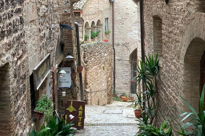 Wine and olive oil tastings with the locals