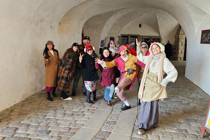 Full-Day; Castle, Palace, Cathedral & Viking ships Tour