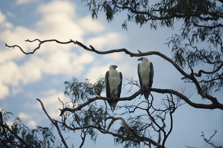 Noosa Queen Sunset Cruise River